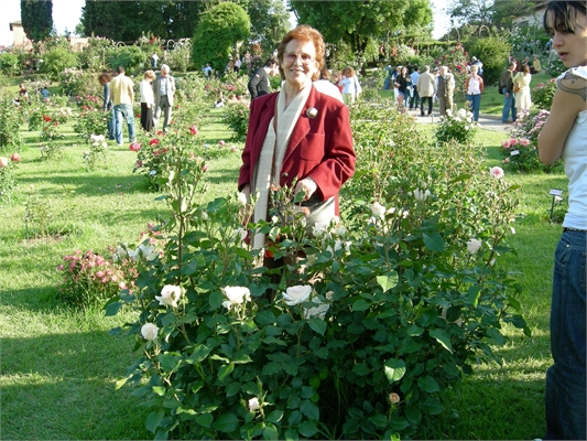 Al giardino delle rose