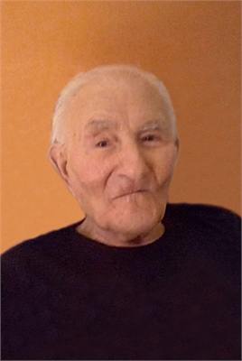 MARIO ROSILIO BERTOGLIO