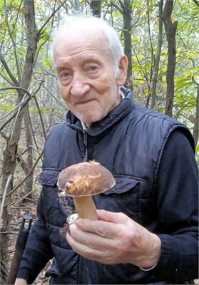 Arnaldo Torresan