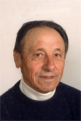 GIOVANNI DOSI