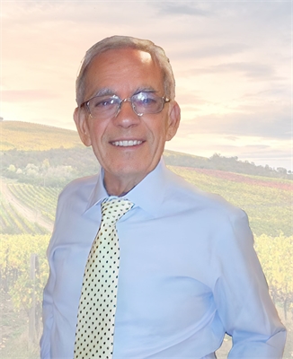 Vincenzo D'Agostino
