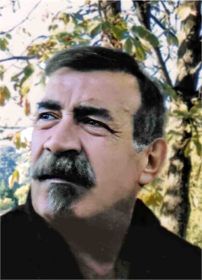 Luigi Domeniconi