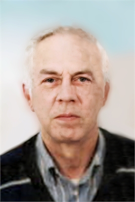 VLADIMIRO GARBI