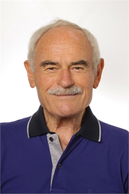 MATTEO VALLE