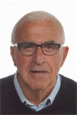 DOMENICO MEDAGLIA