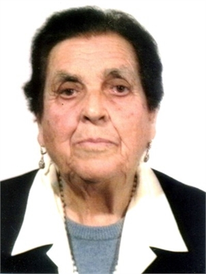 Rosa Cicoria
