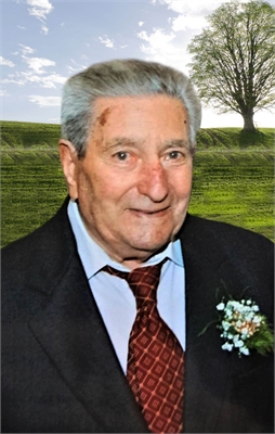 Luigi Petranca