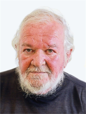 Gianni Vitali