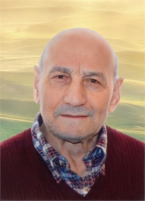 Fernando Zapparoli