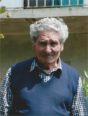 LUIGI BERRI