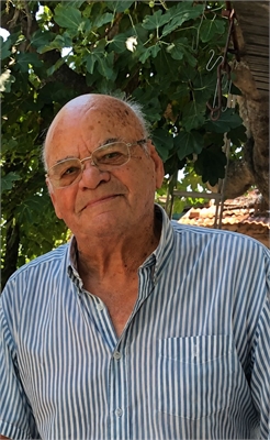 Camillo Giovanni Armandi