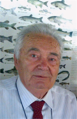 AMEDEO LUCCHINI