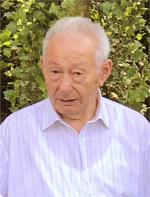 Celso Veronesi