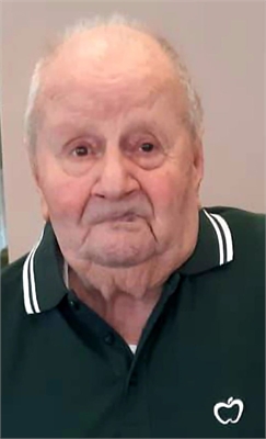 EGIDIO UCCELLINO