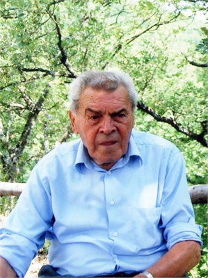 DOMENICO ZANOTTI