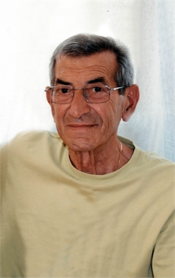 PIERO GIUSEPPE ALLESINA