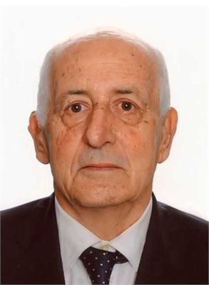 Felice Stefanoni