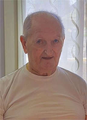 Giordano Querzola