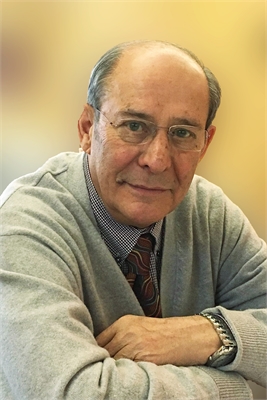 BRUNO OLGIATI
