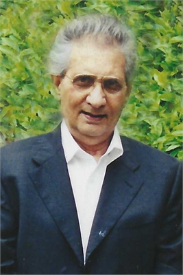 ERCOLE COMINI