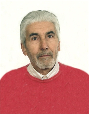 Luigi Vialla