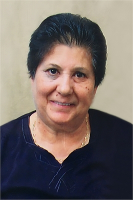 VIOLA POLITO