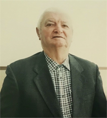 Bruno Dario