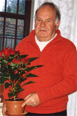 LUIGI VIOGLIO