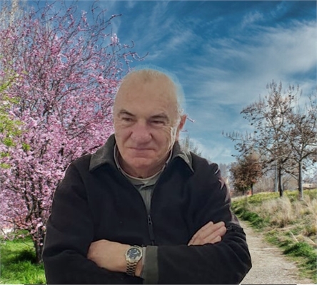 Carlo Soldà