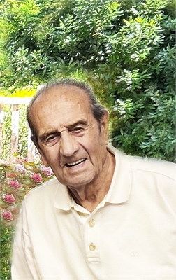 ROMOLO ZANOTTI