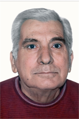 Vittorio Melis
