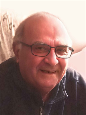 Domenico Angelo Vittorio Angius