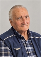 Dino Donini (MO) 
