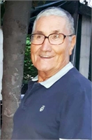 Guerrino Falasco (PD) 