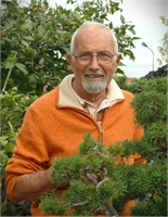 Prof. Giovanni Genotti
