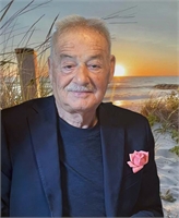 Silvio Cardone (VA) 