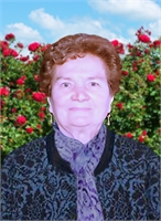 Rosa Bocciarelli Ved. Vallisa (PC) 