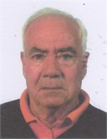Luigi Palmieri (VA) 