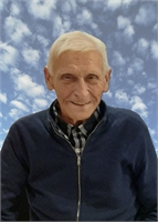 Renato Faoro (VA) 
