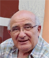 Vincenzo Boldrin