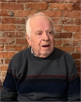 Domenico Achille Piva (AL)