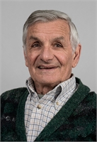 Giovanni Giovanelli (BS) 