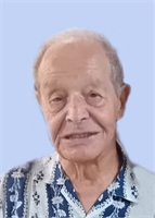 Tammaro Auletta