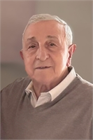 Mario Meriggi