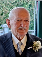 Alessandro Ramuscello