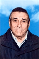 Luigi Zanin (VA) 
