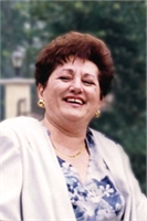 Rosa Pastori (rosetta) Turatti