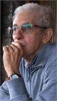 Giorgio Arrigoni (PV) 