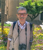 Piergiorgio Bellio