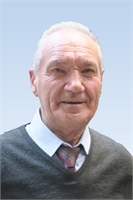 Angelo Cassani
